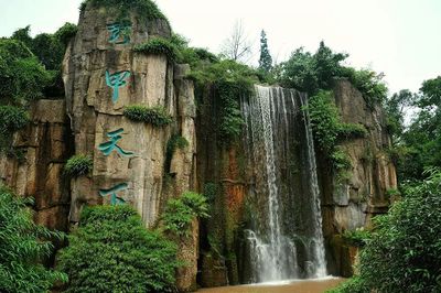 趣四川丨將文化創意融入旅游 看四川如何讓鄉村旅游變文藝范