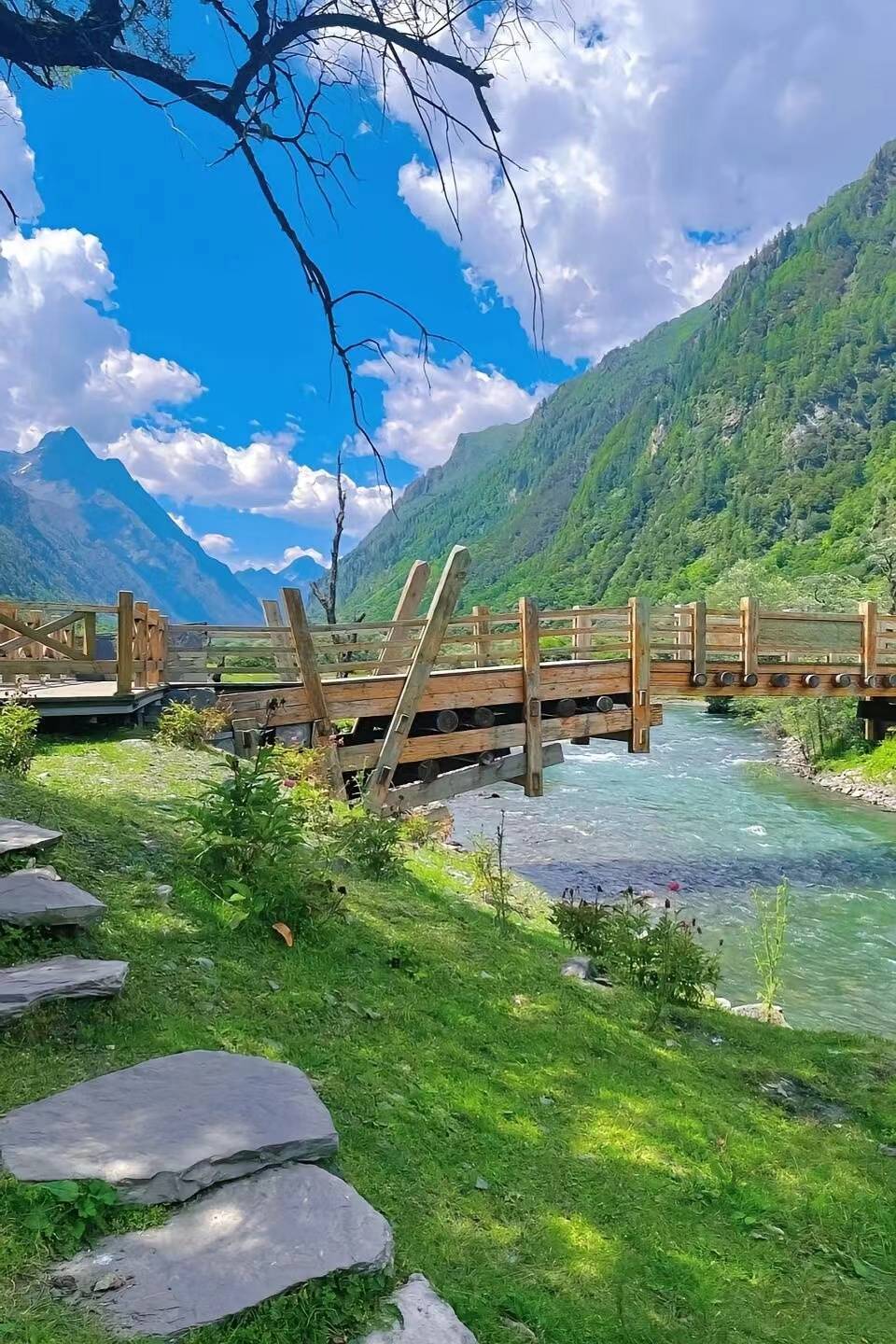 廈門至四川旅游報團價格全解析 團費多少？魅力旅行如何不踩坑？